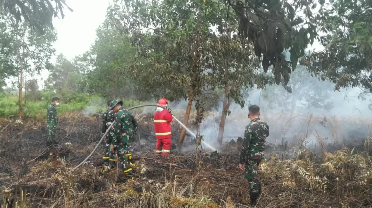 Kodim 1202/Singkawang Padamkan Karhutla di Lahan Gambut Sedau