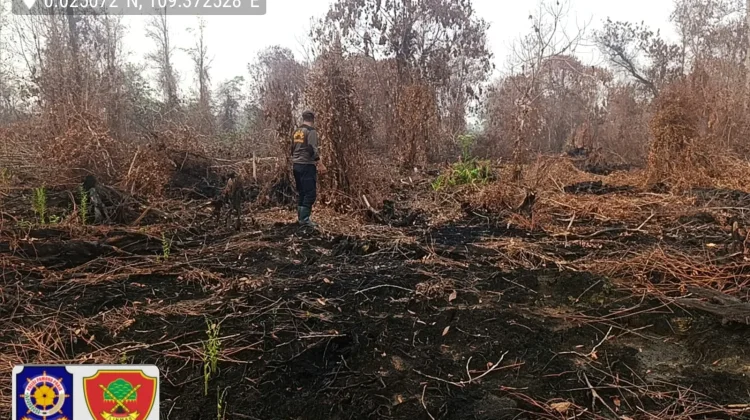 Satpol PP Kalbar Temukan 13 Hektare Lahan Bekas Terbakar di Desa Sungai Malaya