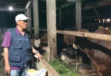 Legislator Munaji Desak Optimalisasi Fasilitas RPH Pontianak Utara