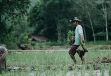 Akademisi Untan: Lalai Bonus Demografi Sebabkan Usia Tua Miskin