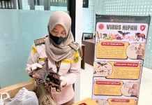 Karantina Kalbar Tahan Daging Kelelawar dan Ikan Asin di PLBN Aruk