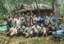 Pemerintah Perkuat Usaha Madu Kelulut Berbasis Perhutanan Sosial