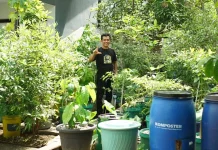 Dari Dapur ke Kebun: Beny dan Upaya Mengubah Sampah Organik di Pontianak