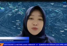BMKG: 152 Titik Panas dan Penurunan Curah Hujan Picu Karhutla