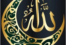 Teman Paling Setia saat Dunia Tidak Menganggap Kita