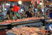 Idulfitri 1447 H: Permintaan Meningkat, Harga Ayam Potong Relatif Stabil