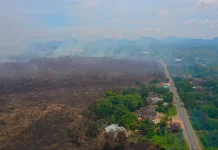 WALHI Rilis Lebih dari 5000 Titik Api Muncul di Gambut Meaki Masih Musim Hujan, Awal 2