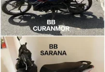 Unit Reskrim Polsek Belitang Bongkar Kasus Curanmor, Dua Pelaku Diamankan