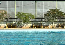 Waktu Terbaik Berenang, Frekuensi, dan Durasi yang Ideal