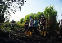 Pemkot Pontianak Gencarkan Pencegahan Karhutla