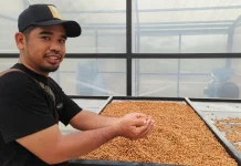 Kopi Liberika: Menembus Pasar Global dengan Rasa Unik dan Potensi Ekonomi