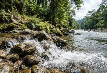 Melepas Penat dengan Gemericik Air Menikmati Wisata Sungai dan Air Terjun Kecil