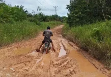 CSR Diminta Lebih Tepat Sasaran, Perusahaan Diajak Bantu Perbaikan Jalan di Kalbar
