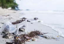 Peringati Ocean Day, Mahasiswa Untan Ajak Warga Peduli Laut lewat Aksi Nyata