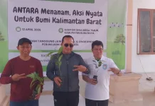LKBN Antara Komit Lestarikan Lingkungan Melalui Gerakan Menanam Pohon