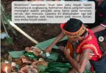 Ritual Adat Besamsam, Warisan Budaya yang Sarat Makna