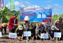 Tekan Inflasi, Kubu Raya Dorong Petani Tingkatkan Produksi Cabai Rawit