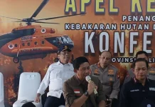 BNPB Pastikan Penanganan Karhutla Semakin Efektif, Operasi Terpadu Disiapkan