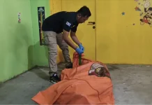 Delapan Korban Jatuhnya Helikopter PK-CFX, Satu di Antaranya WNA
