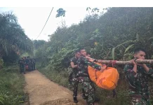 Perjuangan Tim Gabungan Pikul Jenazah Korban Helikopter PK-CFX