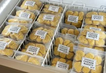 Memulai Usaha Frozen Food Rumahan Menjanjikan