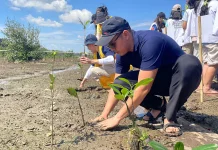 Perkumpulan Lions Indonesia Tanam 20 Ribu Bibit Mangrove di Pelangi Kapuas Park