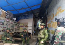 Pangkoops TNI Tinjau Satgas Yon Parako 466 Pasgat