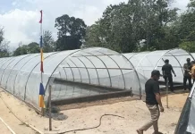 Kementerian Dorong Pengembangan Industri Garam di Paloh, menuju Swasembada Garam