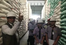 Siswa SMKS Mudita Belajar Rantai Distribusi dan Ketahanan pangan
