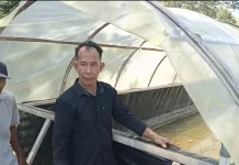 Potensi Garam di Paloh Sangat Menjanjikan, Terlebih di Kawasan Perbatasan