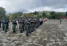 Sinergi TNI-Polri dan Pemda Perkuat Otonomi Papua