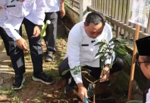 Kakanwil Kemenag Kalbar Tanam Pohon saat Ulang Tahun