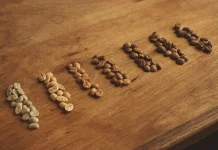 Kenali Jenis Kopi Arabika, Robusta, dan Blend sebelum Ngopi