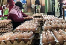 Disbunnak Kalbar Distribusikan 50 Ribu Butir Telur di 4 Lokasi