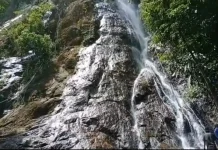 Potensi Destinasi Ekowisata Hutan Lindung Bukit Luit dan Rentap Sintang