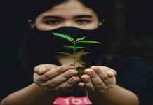 Kearifan Lokal Masyarakat Kalbar dalam Menjaga Alam