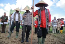 Wagub Kalbar dan Bupati Bengkayang Tanam Jagung Bersama Kelompok Tani Gembul