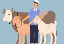 Makna Kurban Jadi Refleksi Cinta, Pengorbanan, dan Kepatuhan