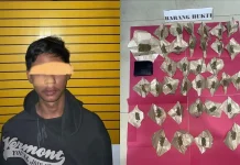 Satresnarkoba Polres Landak Tangkap Pengedar Ganja