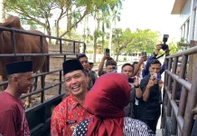 Bantuan Sapi Qurban Presiden RI dan Bantuan 52 Sapi Qurban Pemprov Disalurkan