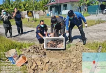 Petugas Karantina Kalbar Gagalkan Peredaran Telur Penyu dan Daging Satwa