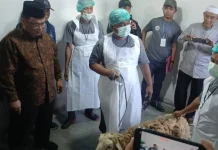 Kubu Raya Jadi Pusat Pelaksanaan Dam Haji Tamattu’ Kalbar 2026