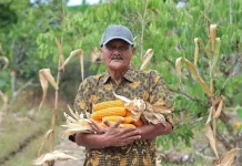 Semangat Abdul Hamid Bertani di tengah Keterbatasan Lahan