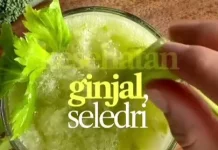 Daun Sirsak, Seledri, dan Meniran Tanaman Herbal untuk Kebugaran Tubuh