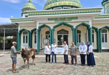 Pelindo Pontianak Salurkan Puluhan Hewan Kurban di Kalbar