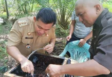 Camat KMB Kunjungi Budidaya Madu Kelulut Desa Kuala Mandor B