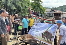Kebersamaan Idul Adha, DIB Salurkan Hewan Kurban untuk Masyarakat Kayong Utara