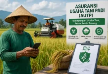 Kalbar Gencarkan Asuransi Usaha Tani Padi Petani