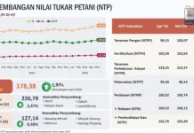 NTP Kalbar Menguat Ditopang Karet dan Sawit