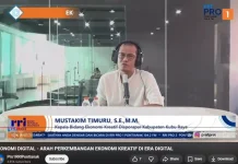 Pemkab Kubu Raya Dorong Ekonomi Kreatif untuk Go Digital dan Berdaya Saing